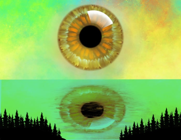 A hazel eye in the sky with a galaxy background in yellow and green hues reflecting in greenish water with tree silhouettes in front