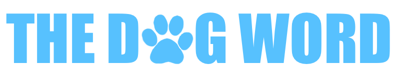 The Dog word logo which has a paw shape in place of the o in dog